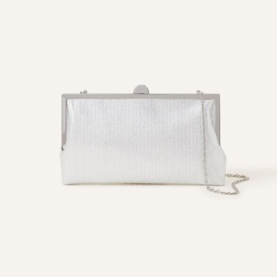 Metallic Frame Clutch Bag